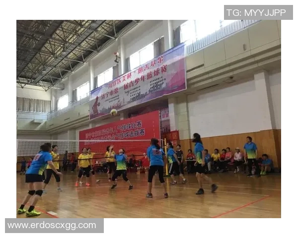 上海排球队选拔赛表现分析：经验与技巧的较量与提升