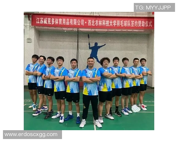 南京羽毛球队个人能力排名创新高展现团队实力与选手潜力