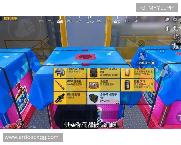 和平精英热议：LNG耐力争议引发玩家热烈讨论与反思