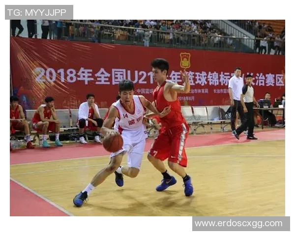 北京篮球队在锦标赛中的技术表现分析与评价