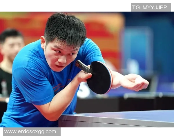 成都乒乓球队耐力对比深度解析与训练策略探讨 成都乒乓球队耐力对比深度解析与训练策略探讨