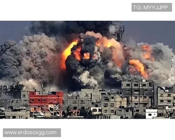 武汉排球队的阵地战解析与战术深度剖析