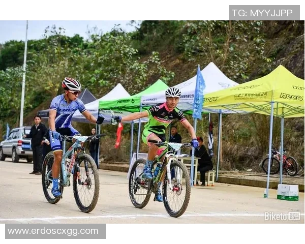 武汉极限运动队快攻策略分析与战术得失评析