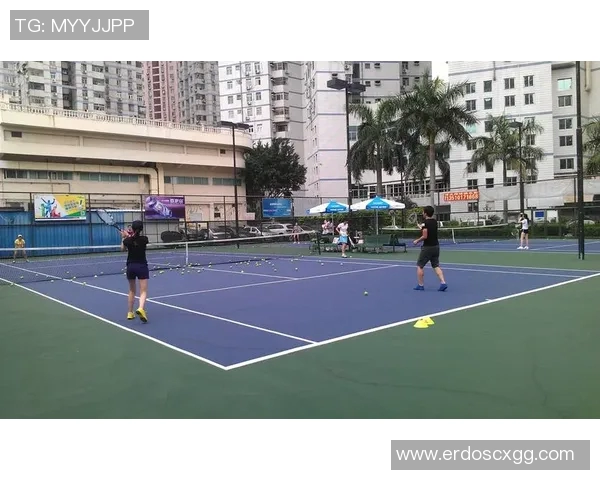 深圳网球队个人能力引发热议球员表现与团队合作的深度探讨