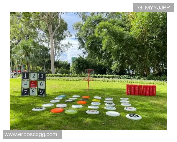 飞盘灵活性排行榜揭晓上海飞盘队强势登顶引关注