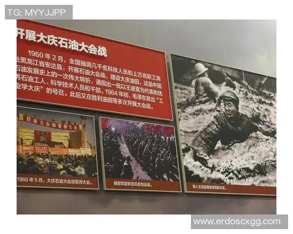 上海乒乓球队的奋斗与荣耀：一段不平凡的突破历程纪实