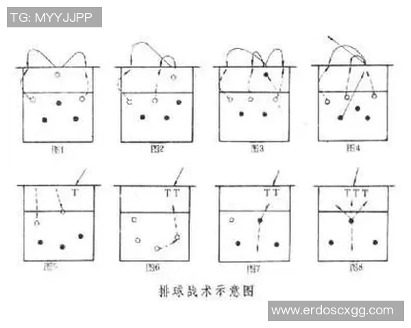 北京排球队总决赛速度表现分析与战术探讨