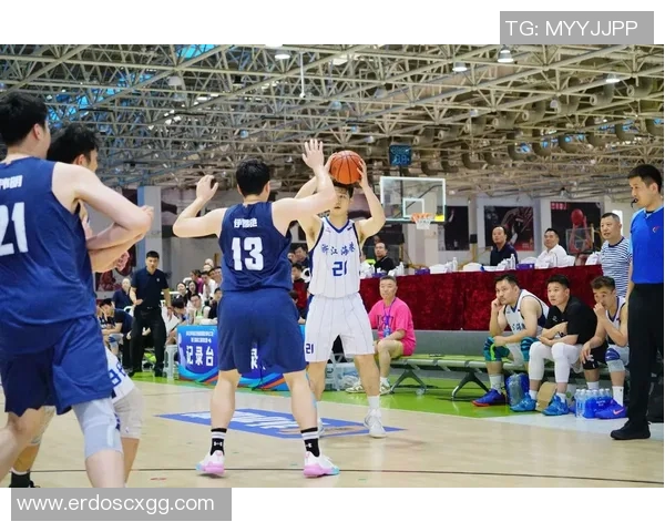 广州篮球队运营新策略解析与市场发展前景展望