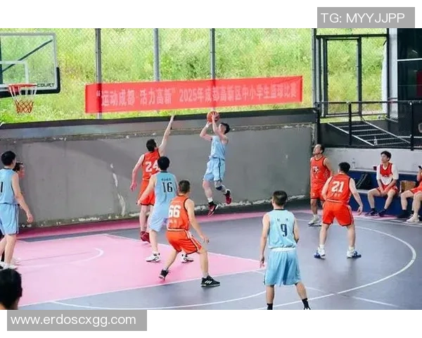 成都篮球队技术变革引发热议助力球队崛起与发展新篇章