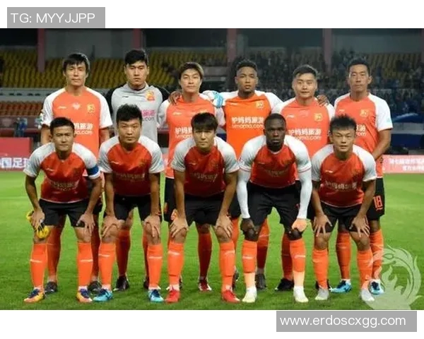 武汉羽毛球队实力分析与表现评估探讨