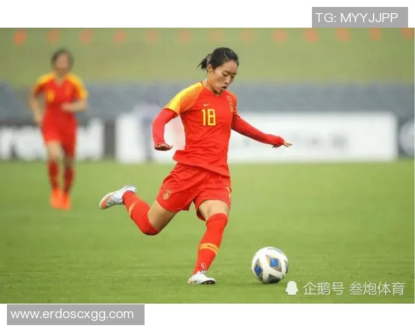 史鸿飞的成长之路与奋斗历程探秘：从普通青年到行业领军人物的蜕变